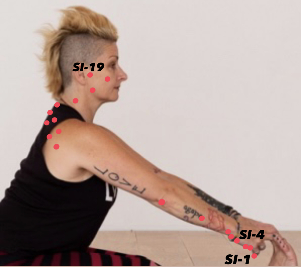 Small intestine meridian showing 19 acupoints